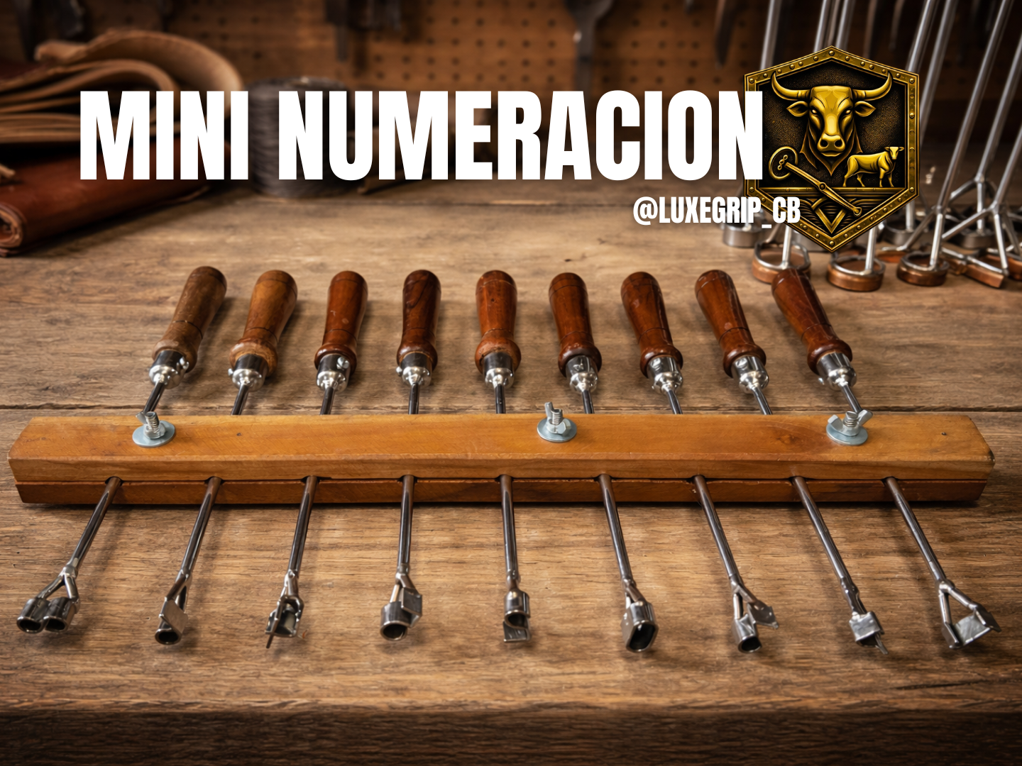 Mini Númeración