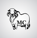Marca 47