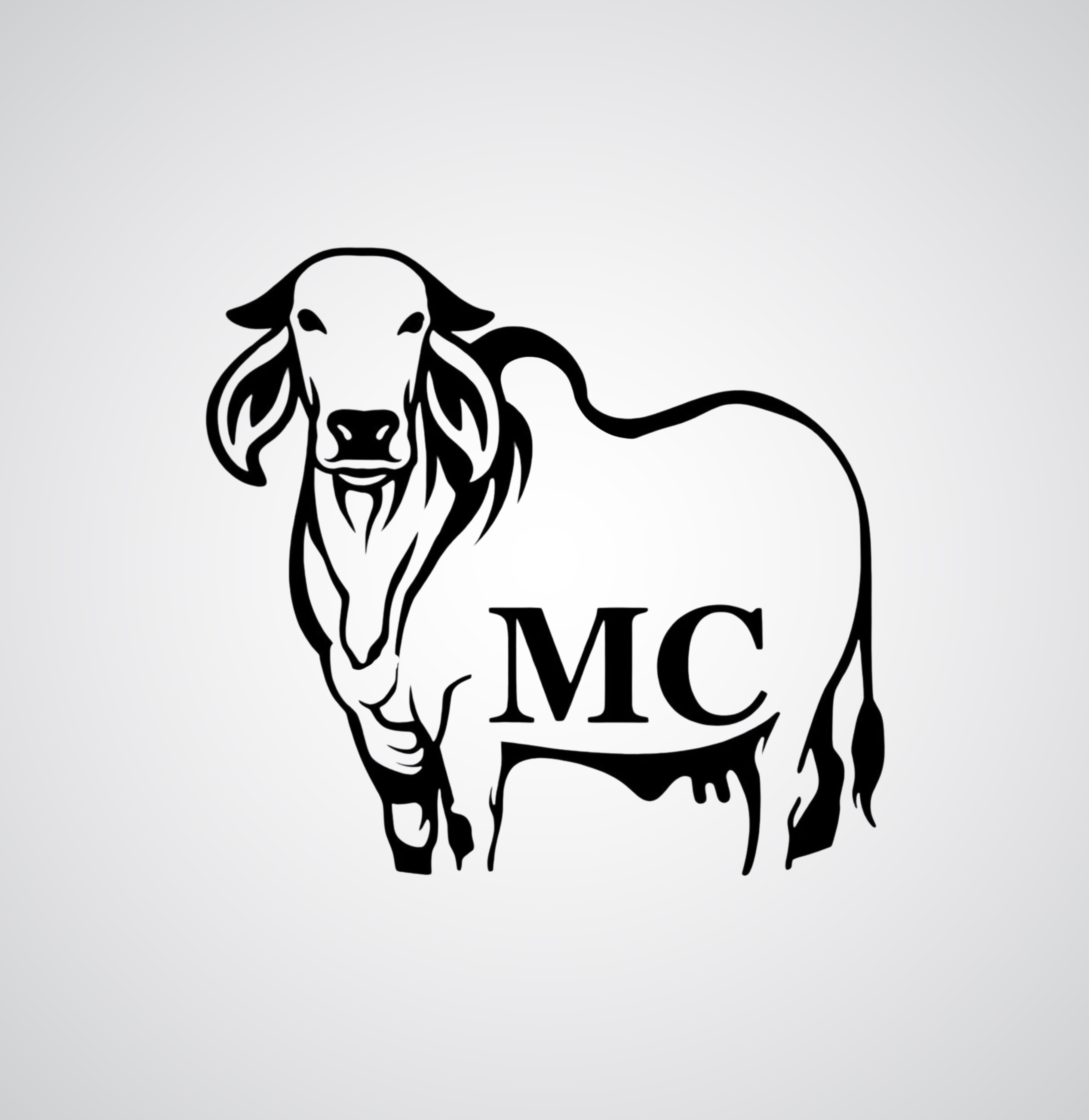 Marca 47